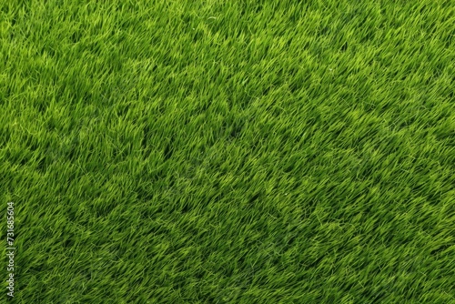 Wallpaper Mural Green grass texture background for sports and nature. Torontodigital.ca