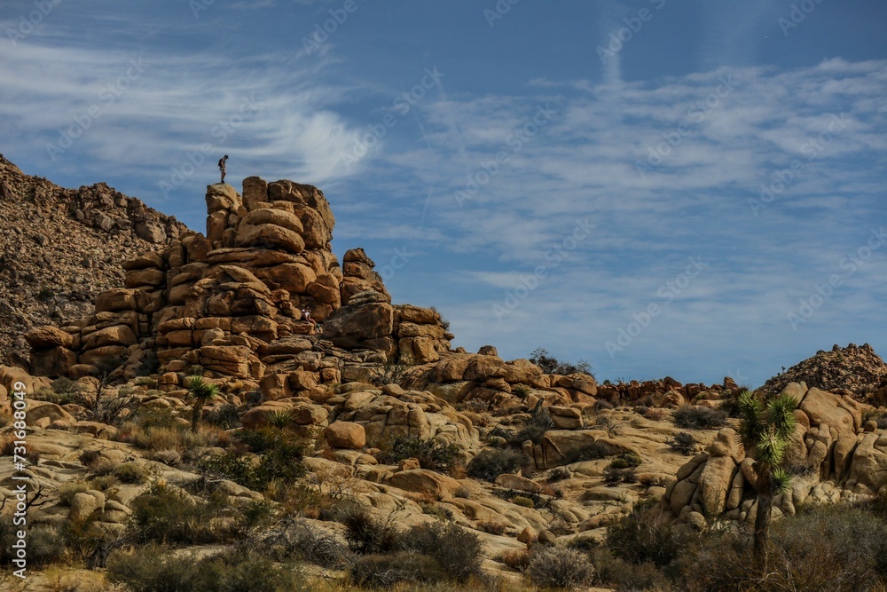 Beautiful shot of huge rocks in Joshua Tree National Park in California