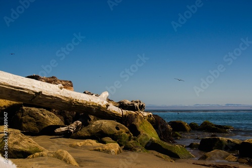 Scenic view of a beach at Capitola, California, featuring a driftwood and rocky outcroppings © Wirestock