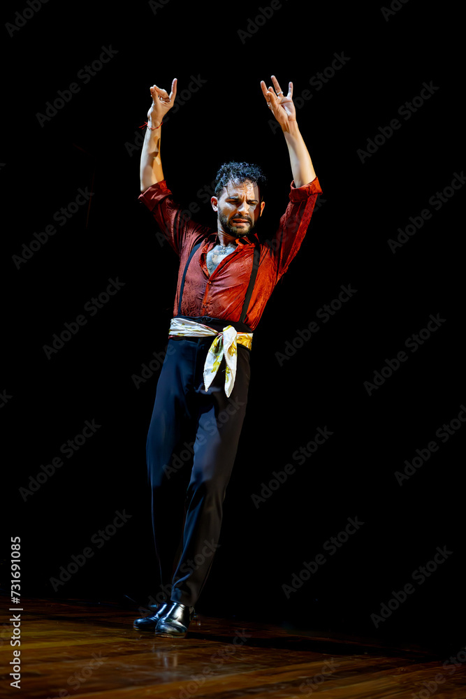 Flamenco dancer's passionate raise of arms on stage, copy space. Flamenco dancer's passionate raise of arms on stage, copy space.
