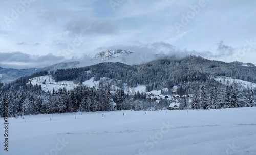 Snowy landscape with mountain covered with trees and snow under cloudy sky