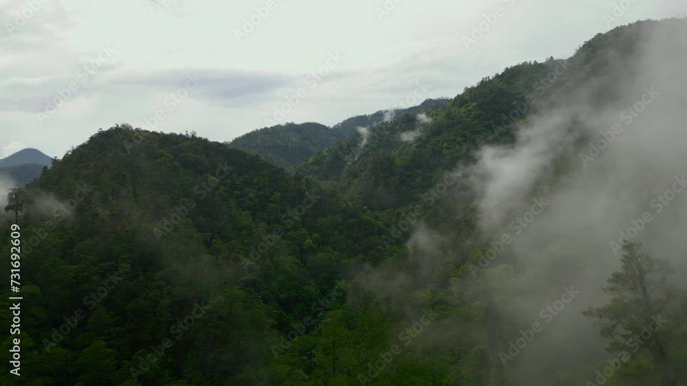 Aerial of mountains covered in the dense green forest on a misty day Aerial of mountains covered in the dense green forest on a misty day