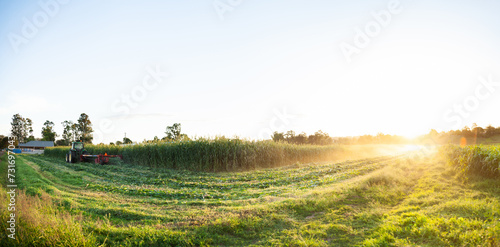 Tractor harvesting forage crop in farm paddock at sunset photo