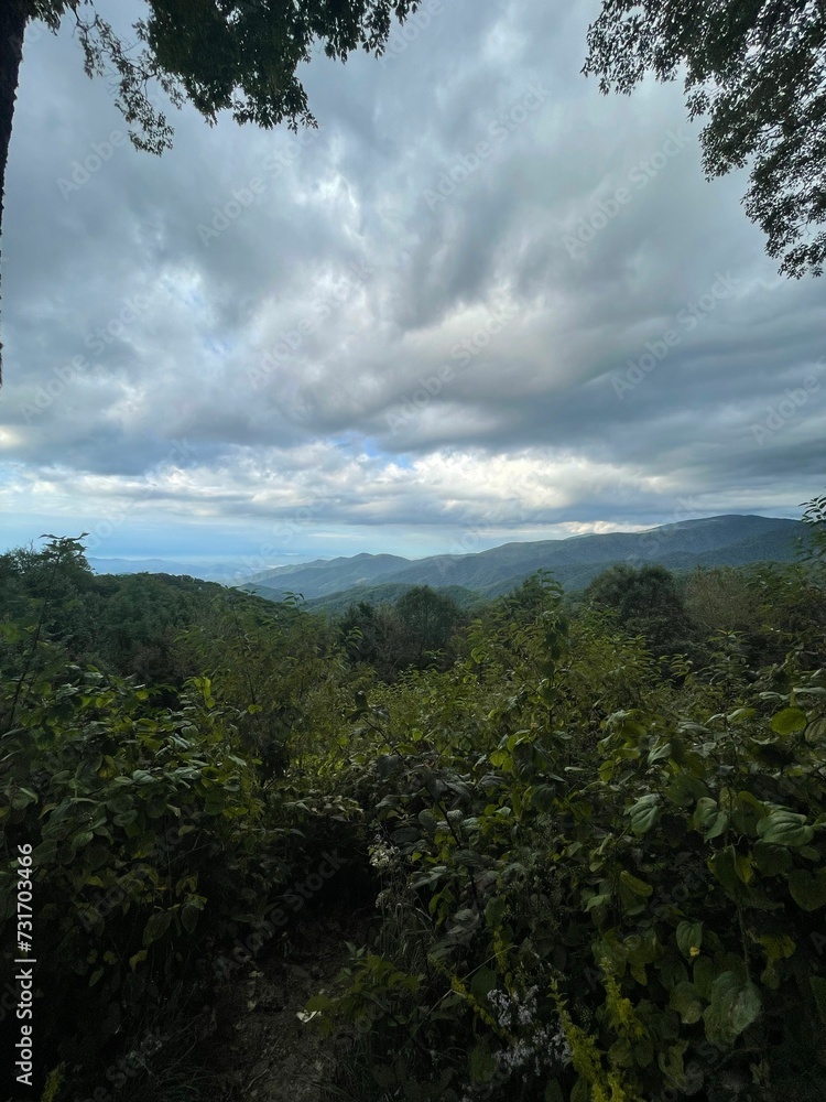 Scenic view of a mountainous terrain covered in lush greenery, with a cloudy sky in the background