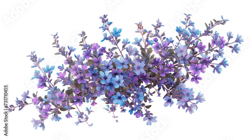 bush of delicate turquoise flowers  isolated on transparent background