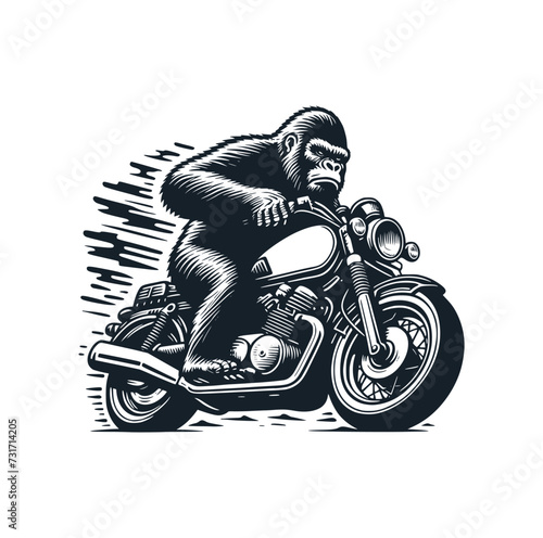 The gorillas ride motorbikes. Vector illustration.