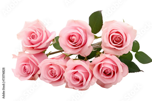 Pink Roses Arranged in a Vase Isolated On Transparent Background