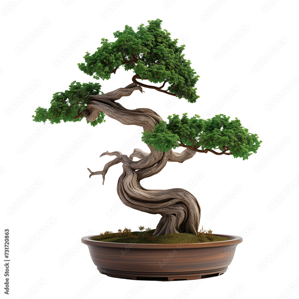 3D carton bonsai tree isolated on transparent background 3D carton bonsai tree isolated on transparent background