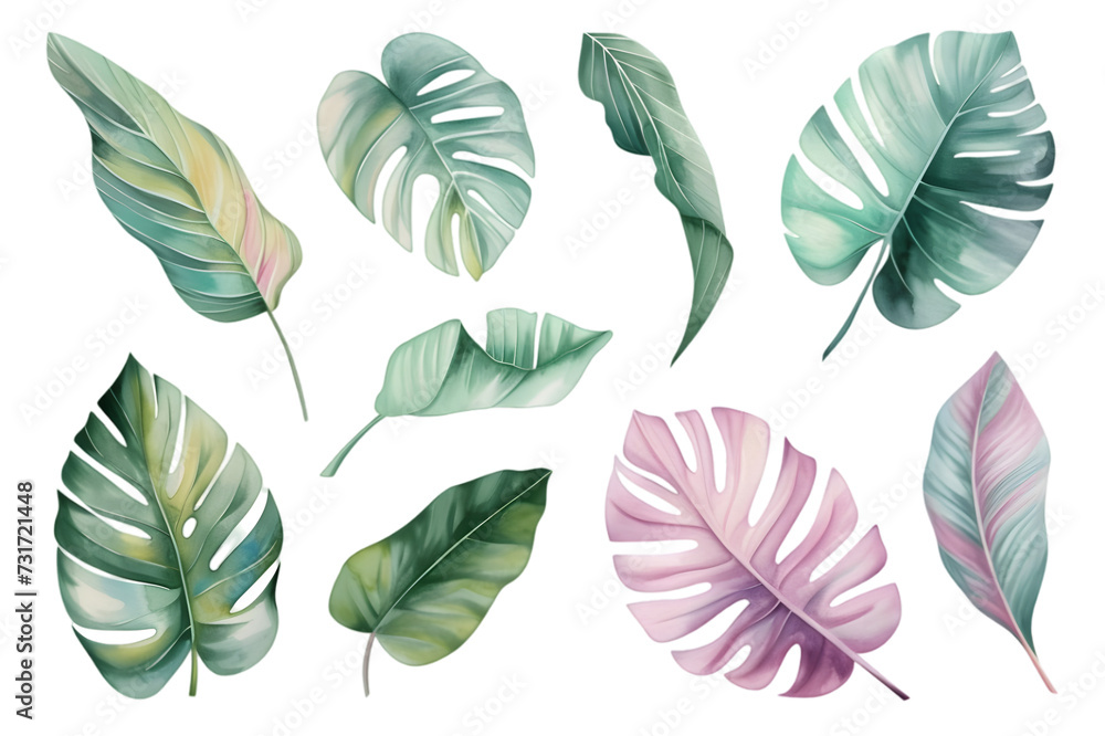 Fototapeta premium Tropical plants watercolor collection isolated on transparent background