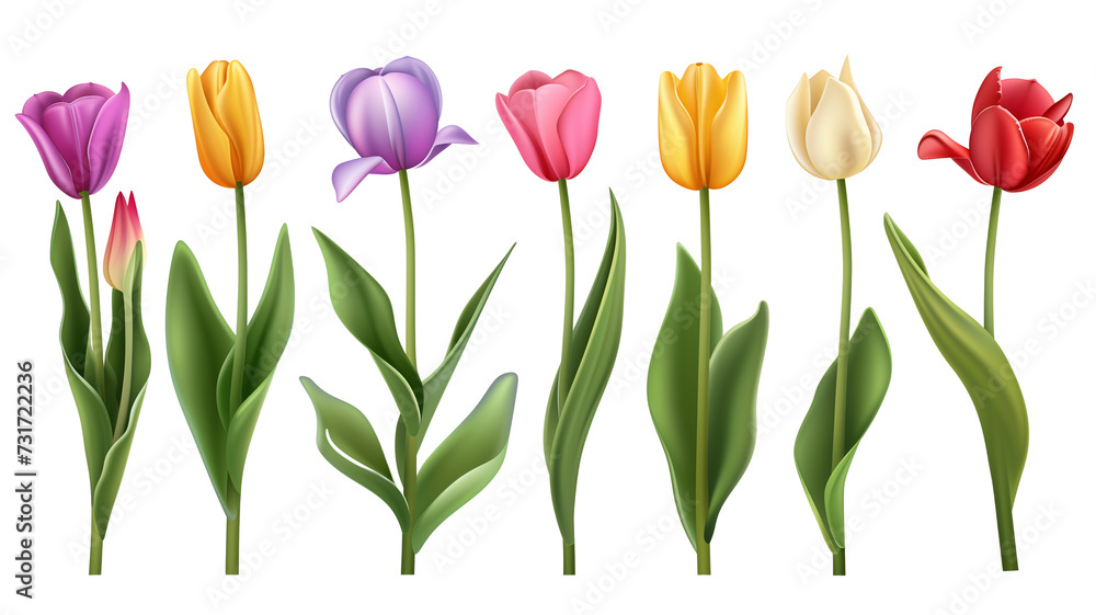 3d render illustration of plastic tulip flowers set with stem, and leaves isolated. 3d render illustration of plastic tulip flowers set with stem, and leaves isolated.
