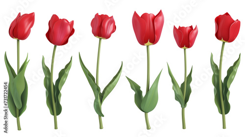 Set of plastic red tulip flowers with stem  and leaves.