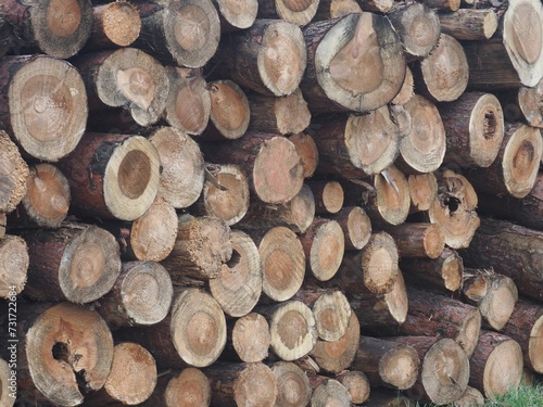 Close up of wooden logs arranged in a pile.