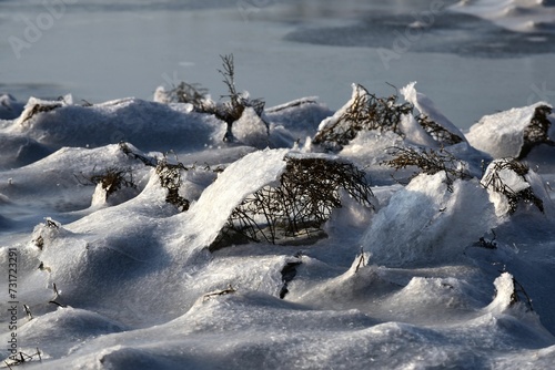 ice and plants are shown by a frozen river in winter