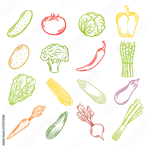 Colorful vegetables outline. Set of vector illustrations, healty food, veggies, vegetable stickers. Line art	