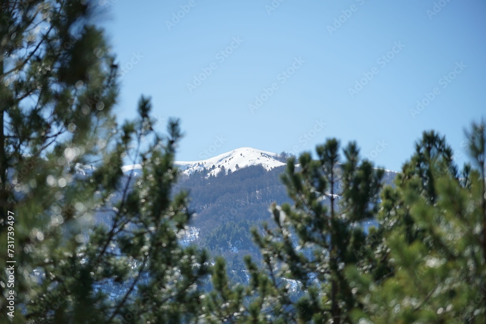 Scenic view of a mountain landscape covered in white snow, visible through frame of evergreen trees