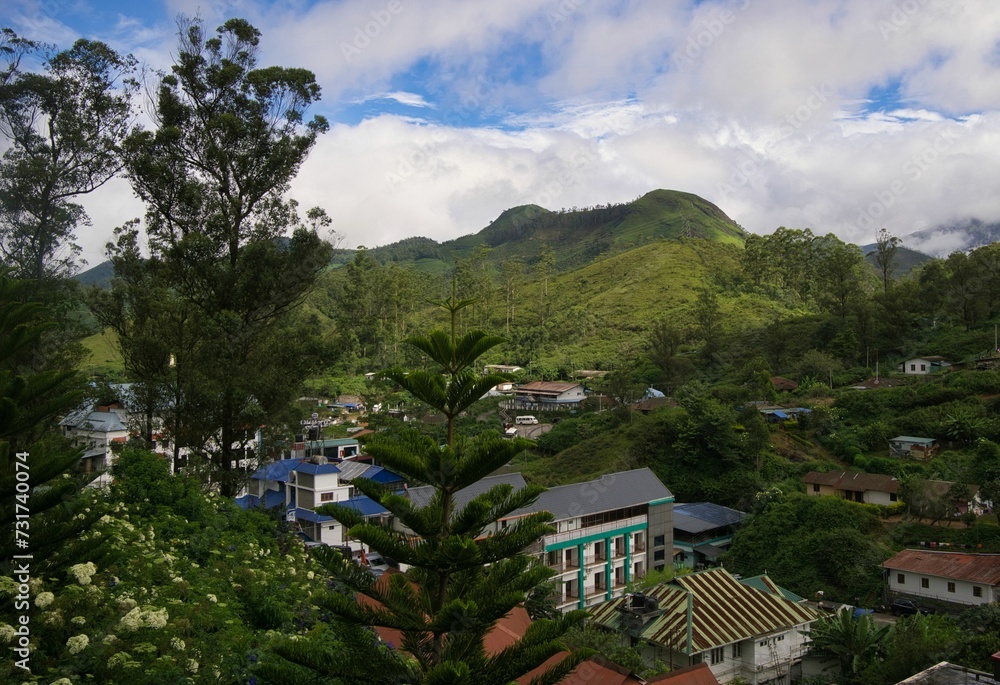 Lush green trees on the background of the Munnar town and rolling hills