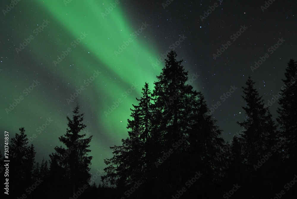 Breathtaking view of an Aurora Borealis in Alaska