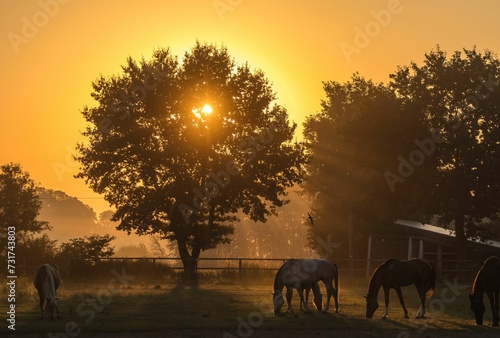 Stunning  herd of horses silhouetted and a huge tree with the sun setting in the background © Wirestock