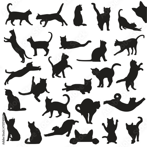 Collection of cats silhouettes vector illustrations, diverse poses, sitting, standing, walking, jumping. Black silhouettes on white background. pet design © Seniz