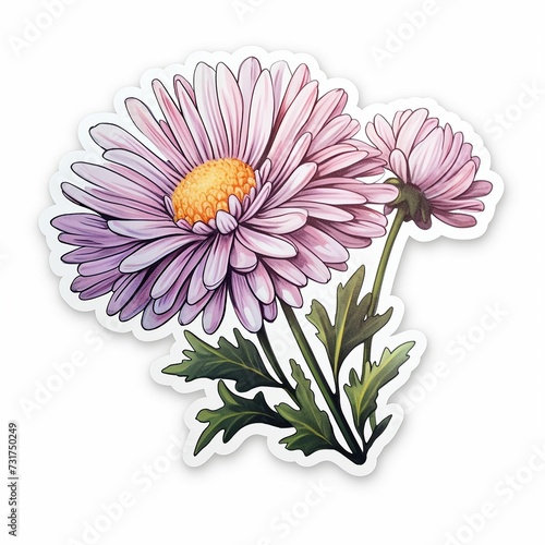 AI generated illustration of a sticker of aster flowers isolated on the white background