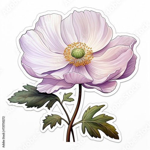 AI generated illustration of a sticker of a Japanese anemone flower isolated on the white background