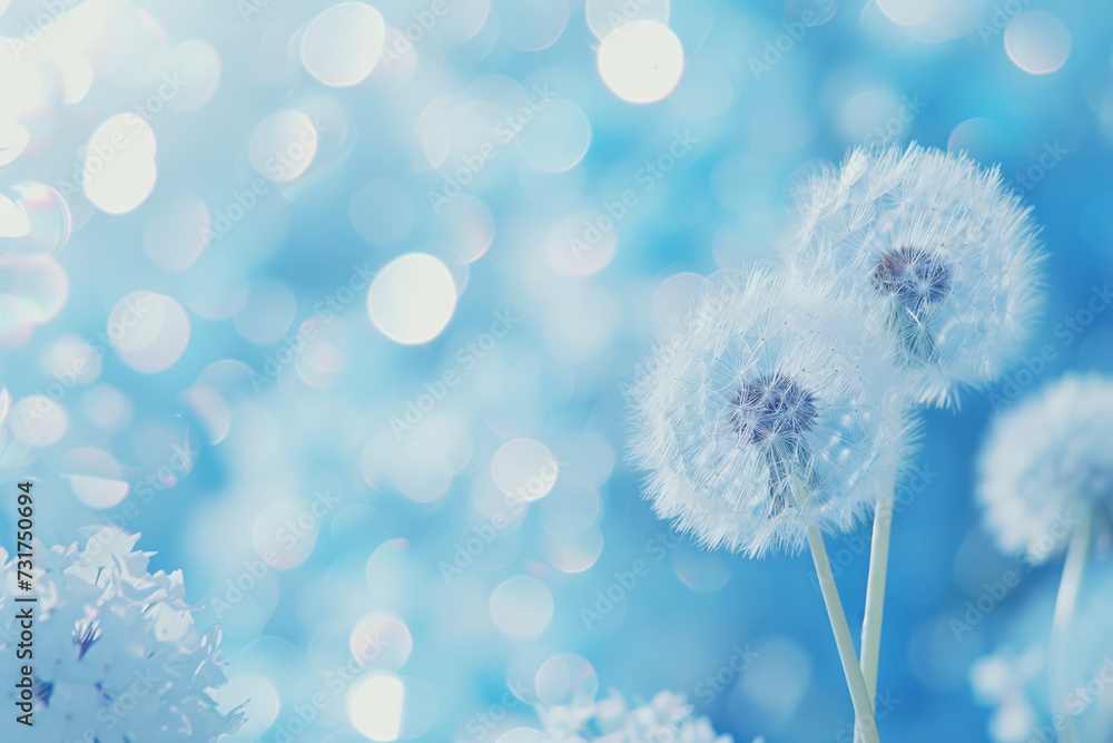 Blue abstract dandelion flower background, extreme closeup. Blue abstract dandelion flower background, extreme closeup.