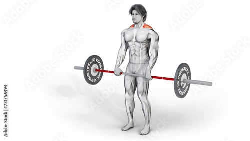 3D animation of a character exercising Barbell back wide shrug fitness photo