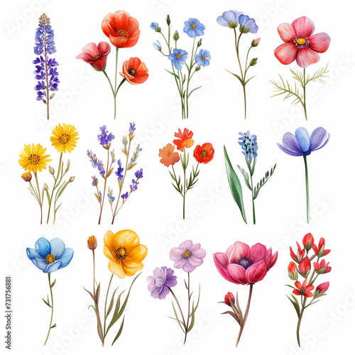 Blooming Marvels: Watercolor Spring Flowers Collection