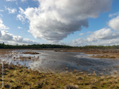 View of the peat bog lake on a sunny day,