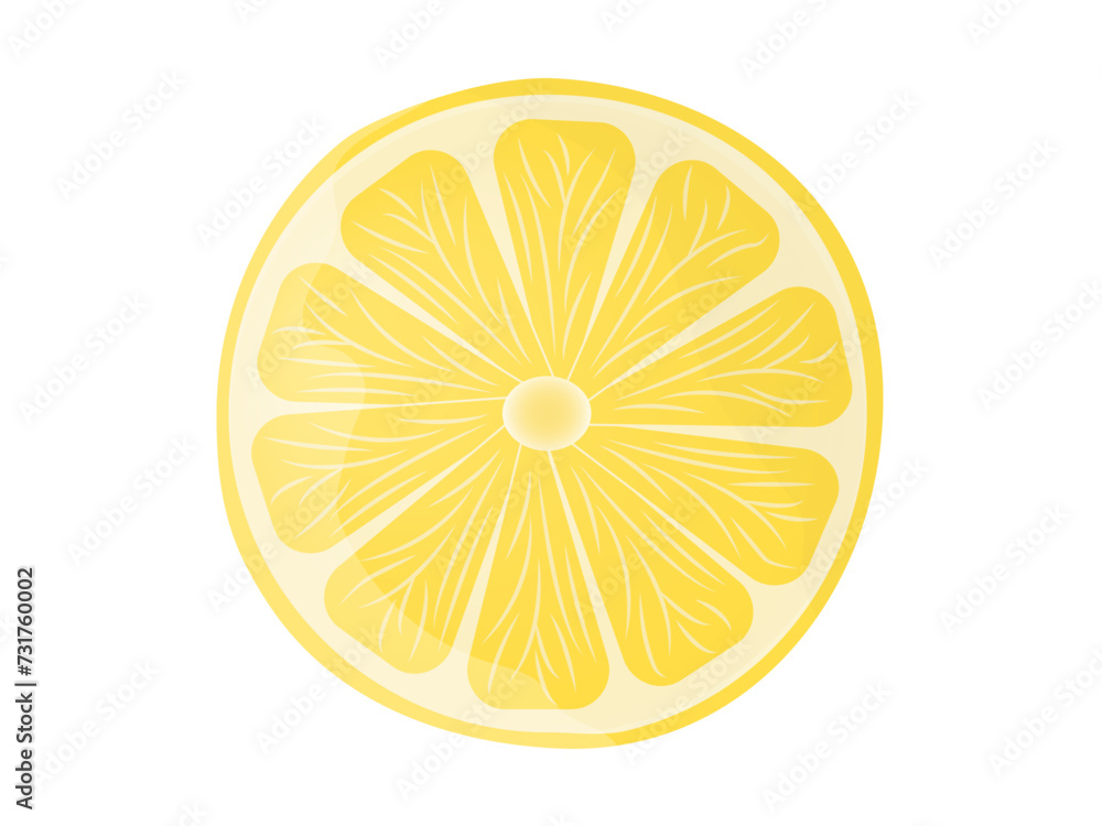 Vector illustration of fresh slice yellow lemon . Image on white background with shadow. Vector illustration of fresh slice yellow lemon . Image on white background with shadow.