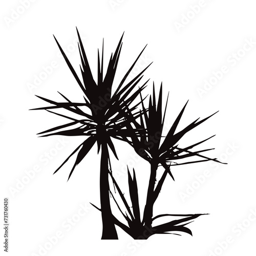 Silhouette of yucca plant on white background. Symbol of garden and nature.