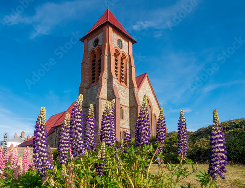 Quadro su tela A beautiful field of lupins in front of the  iconic Anglican Cathedral of Stanle