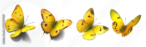 Fototapeta na wymiar Collection set of yellow butterflies isolated on transparent or white background, png