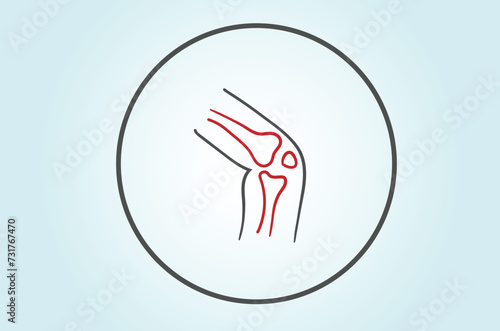 Orthopedics is a branch of medicine that focuses on the diagnosis, treatment, and prevention of disorders and injuries related to the musculoskeletal system