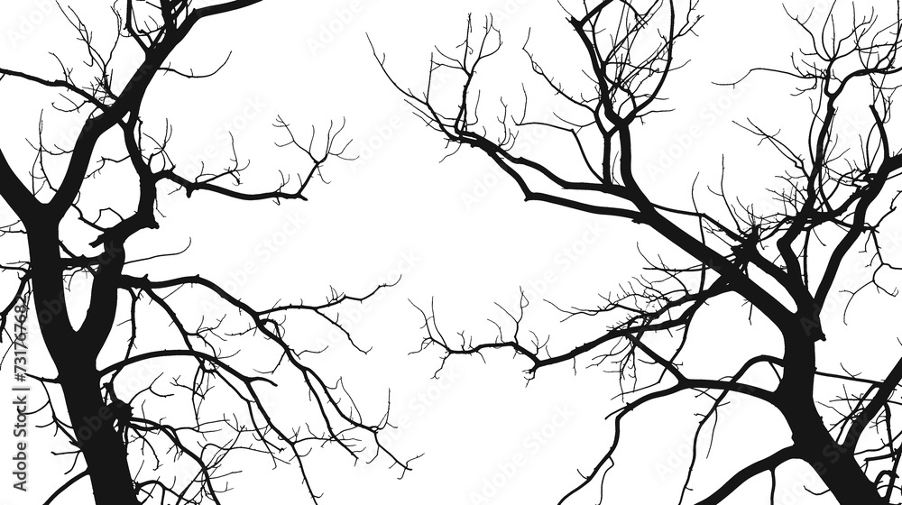 Fototapeta premium Silhouette bare trees branches isolated on transparent or white background, png