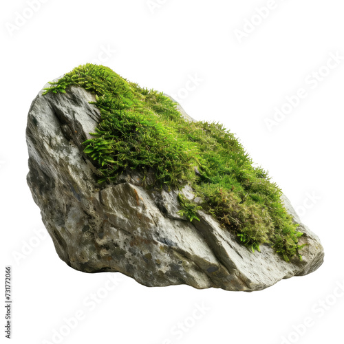 Mossy rock Isolated on White or Transparent Background