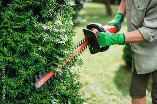 Gardener is using rechargeable cordless hedge trimmer to trim overgrown thuja shrub in garden. Regular trimming of bushes at landscaped backyard photo