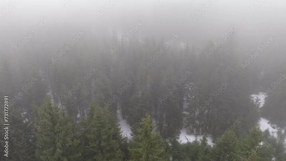 Snowy mountain trees enveloped in fog, captured by drone, depicting a scene of wintry desolation and mystery. Snowy mountain trees enveloped in fog, captured by drone, depicting a scene of wintry desolation and mystery.