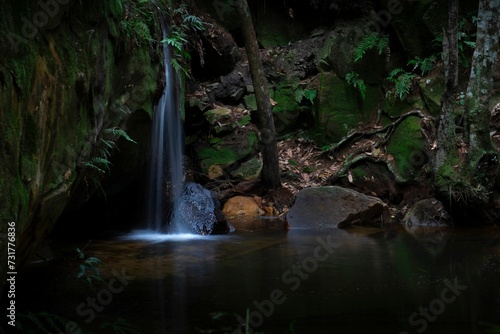a waterfall in a dark green forest with rocks  trees and rocks