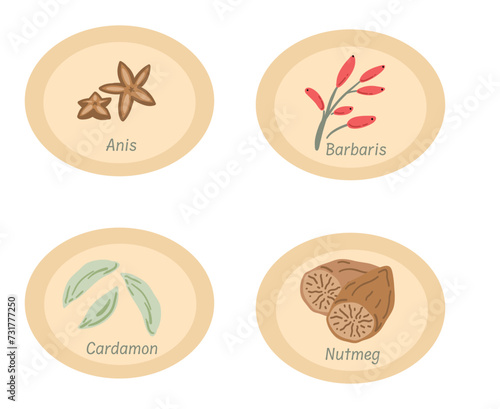Spices stickers nutmeg cardamon and anis flat design