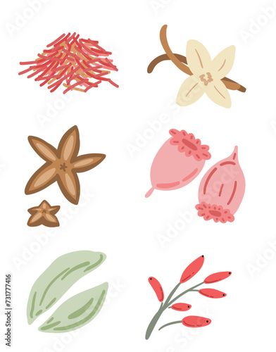Spices condiments flat design set on whote background with anis cardamon vanilla saffron