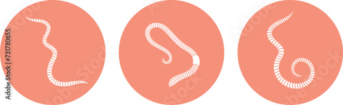 Earthworm logo. Isolated earthworm on white background