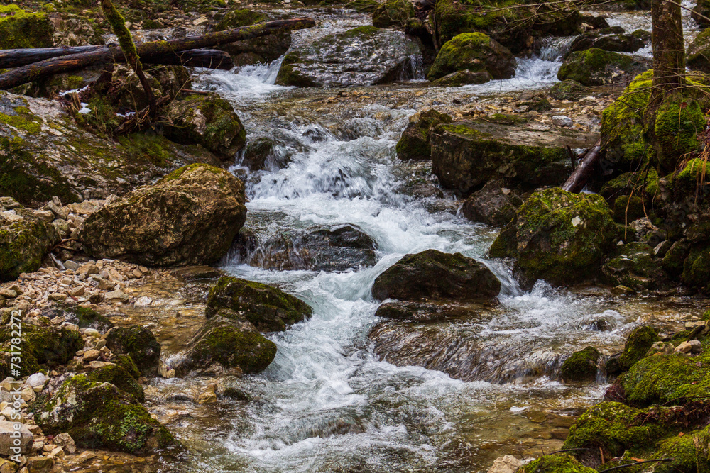 waterfall in the forest