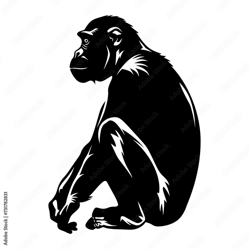 Fototapeta premium Silhouette monkey black color only