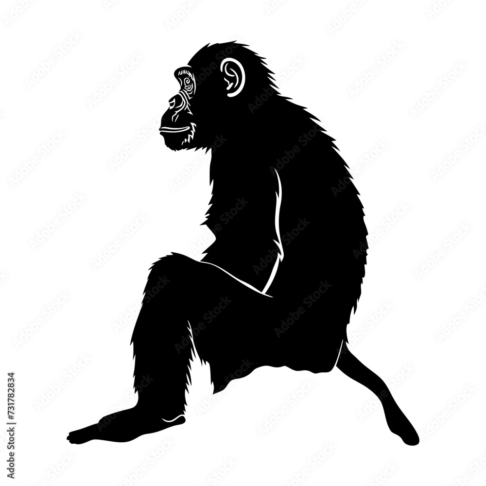 Obraz premium Silhouette monkey black color only