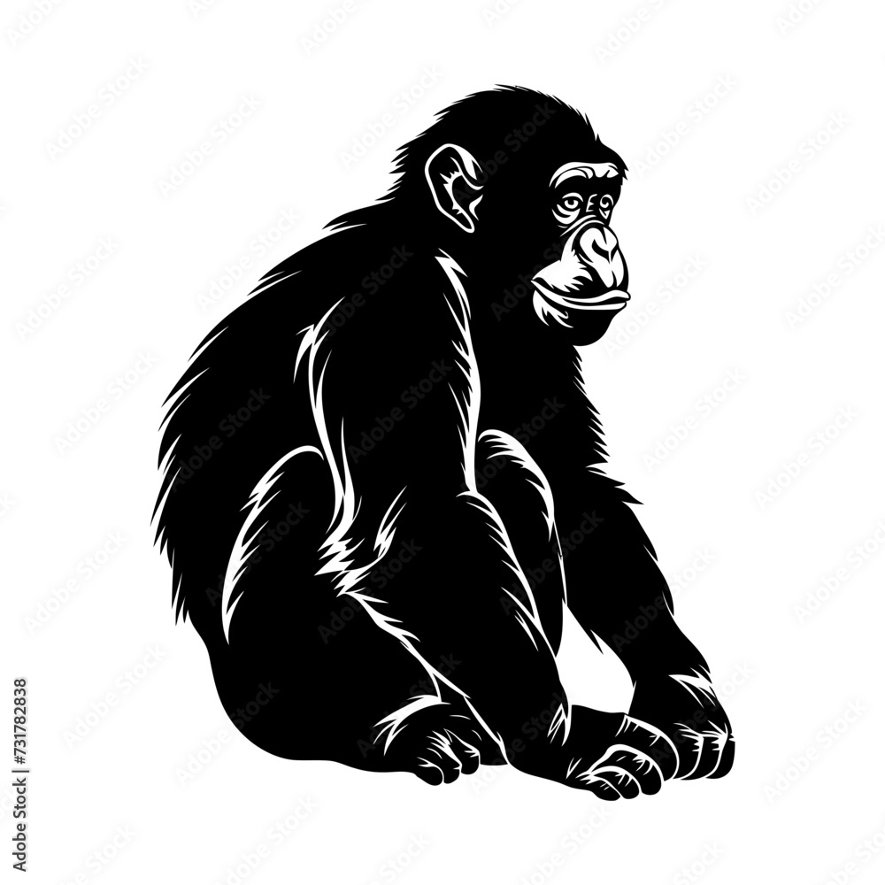 Silhouette monkey black color only Silhouette monkey black color only