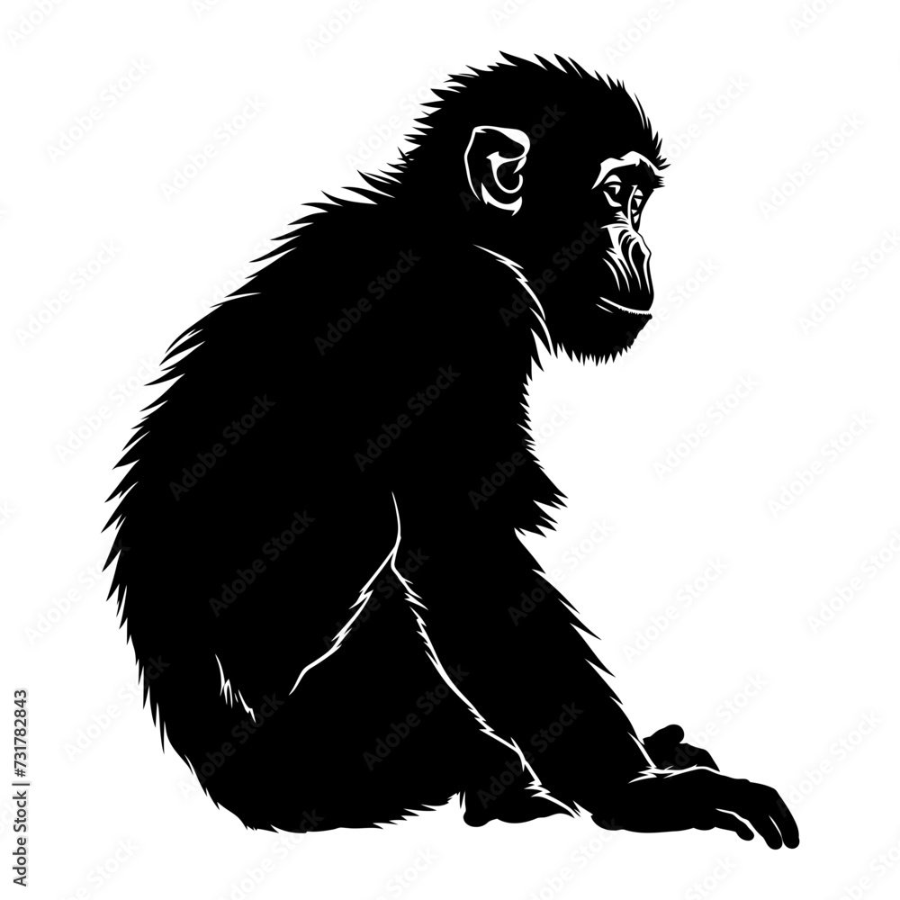 Silhouette monkey black color only Silhouette monkey black color only