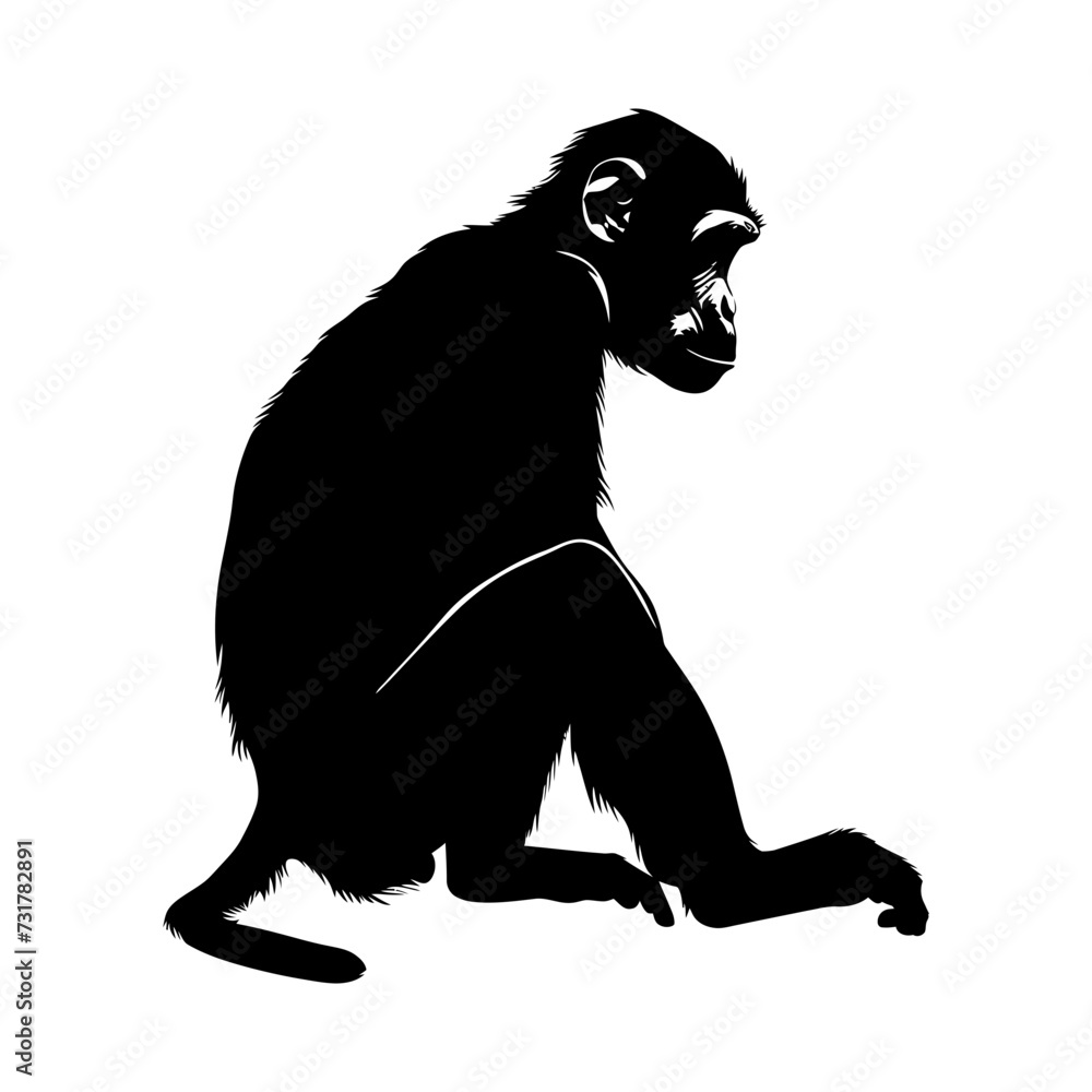 Fototapeta premium Silhouette monkey black color only