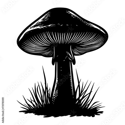 Silhouette mushroom full body black color only