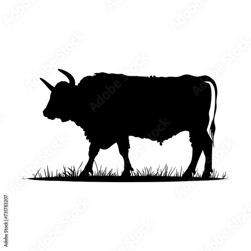 Silhouette ox or cow black color only